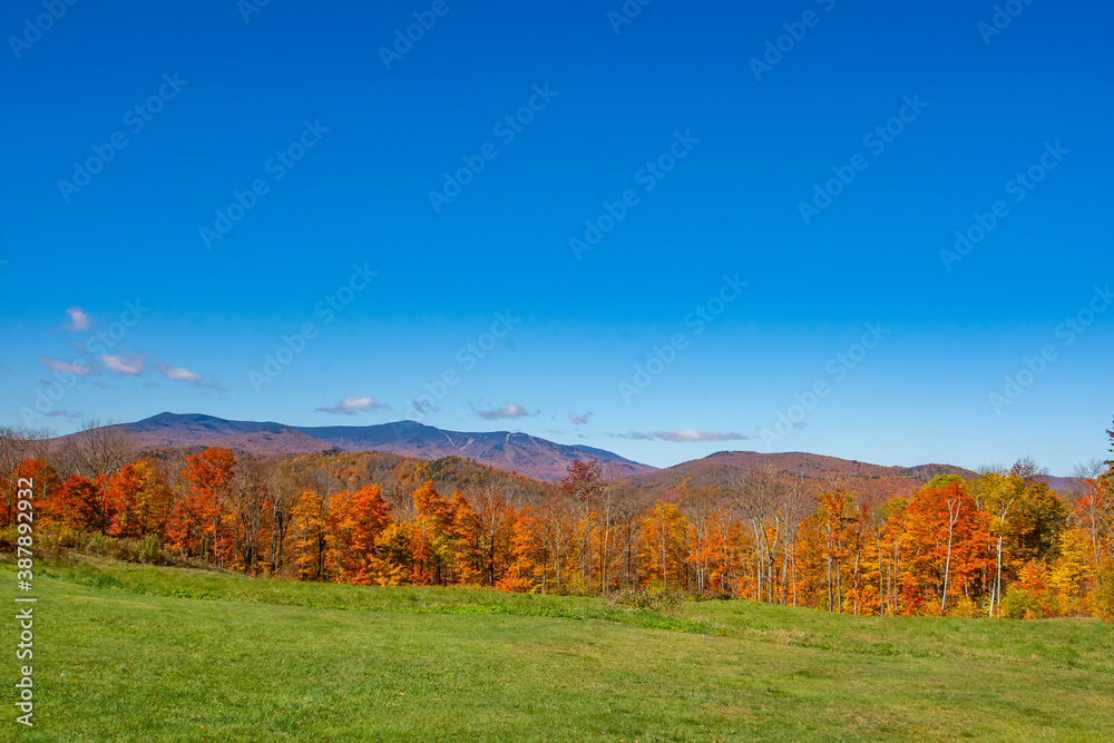 autumn landscape in the mountains