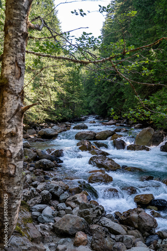 The North Fork Nooksack River in the Mt. Baker-Snoqualmie National Forest