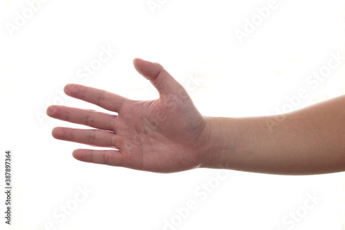 Adult hands offering handshake isolated on white background