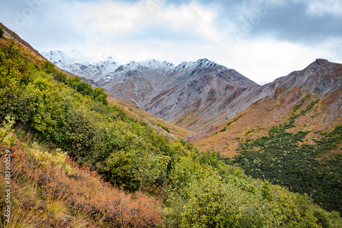 Savage alpine trail mountains view from Denali National Park