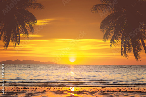 palm tree and beach sunset © thekopmylife