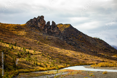 Tableau sur toile Denali national park view from Savage river Canyon trail