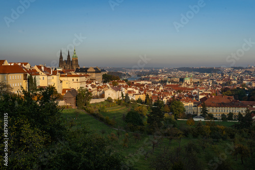 St. Vitus Cathedral and Prague Castle and the nearby park with trees and grass in autumn at sunset in the center of Prague
