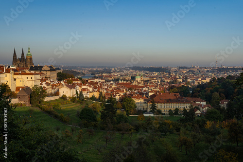 the old St. Vitus Cathedral and Prague Castle and the nearby ones with trees and grass in autumn   and a sky without clouds at sunset in the center of city © svetjekolem