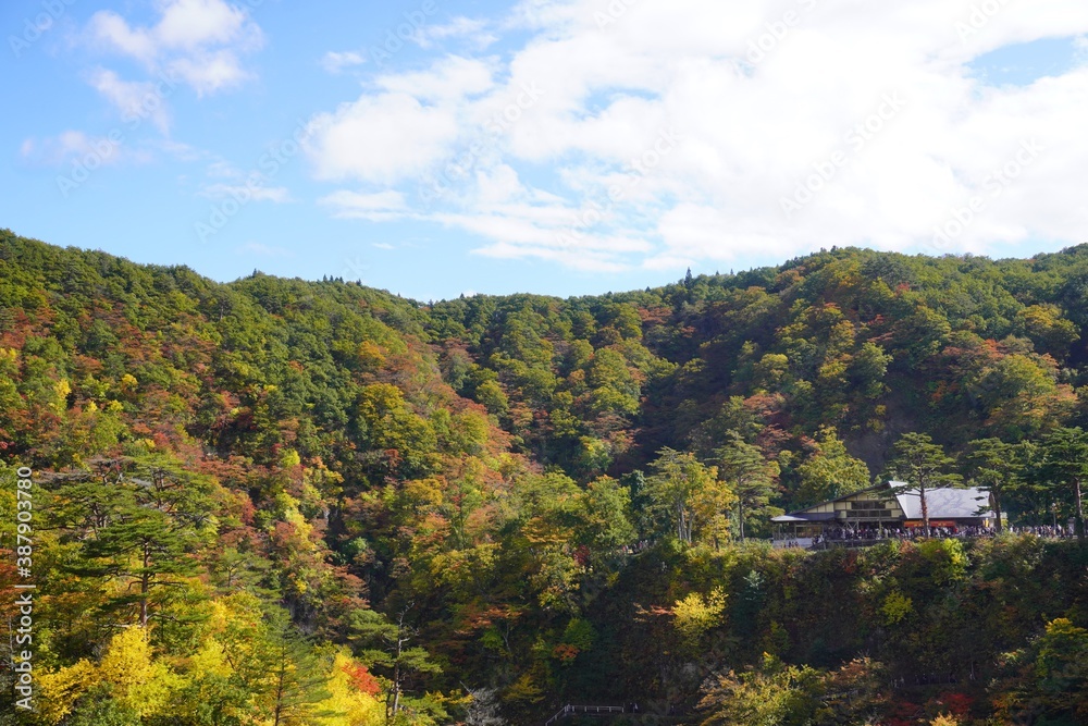 紅葉した山の中の鳴子峡レストハウス、宮城県大崎市/A rest house at autumn leaves moutain in Naruko gorge