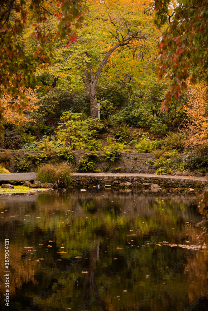 Autumn foliage reflecting over pond in Portland Oregon