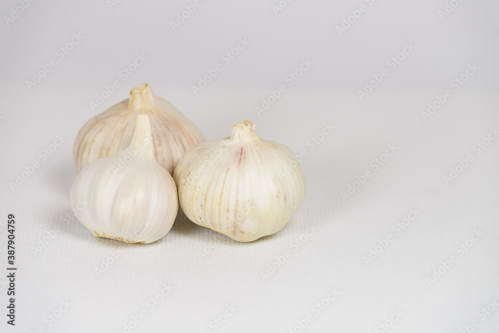 Obraz premium Fresh garlic head on white canvas background with copy space