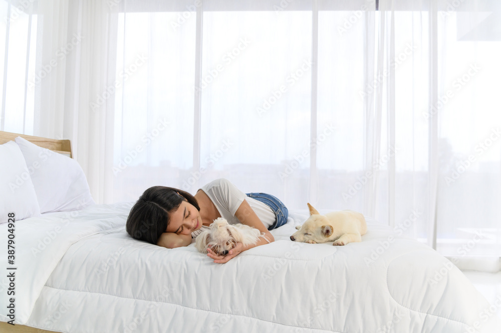 Young asian woman lying and sleeping on white bed with maltese and white Shiba Inu puppy, Cheerful and nice couple with people and pet. Pet Lover concept Young asian woman lying and sleeping on white bed with maltese and white Shiba Inu puppy, Cheerful and nice couple with people and pet. Pet Lover concept