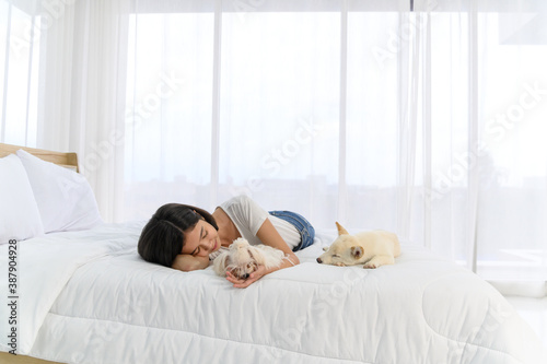 Young asian woman lying and sleeping on white bed with maltese and white Shiba Inu puppy, Cheerful and nice couple with people and pet. Pet Lover concept