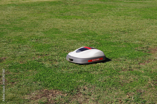 自動芝刈りロボットが芝を刈っている photo