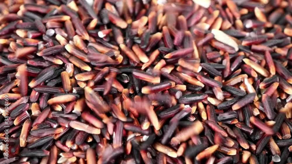 Close up Slow Motion, Pouring rice over pile of Riceberry Rice. Close up Slow Motion, Pouring rice over pile of Riceberry Rice.