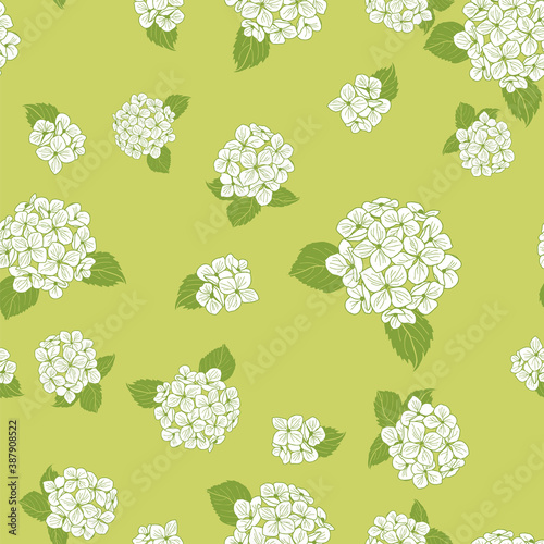 seamless pattern hand drawn white round bouquet hydrangea flowers with leaves on green background design