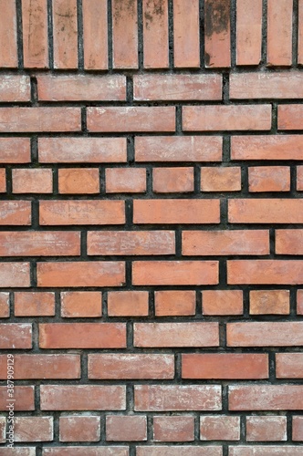 old brick wall texture for background