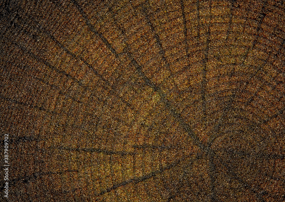 Fototapeta premium Abstract Texture Background , Pattern Backdrop of Gradient Wallpaper