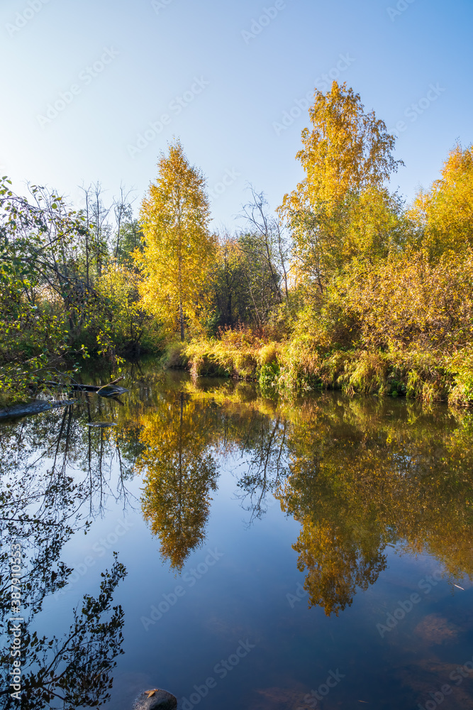 Autumn forest is reflected in the water of river