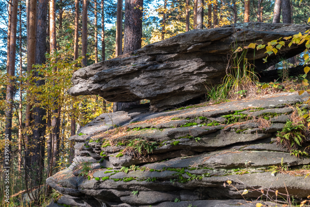 Fototapeta premium A layered rocky cliff wall in the autumn forest