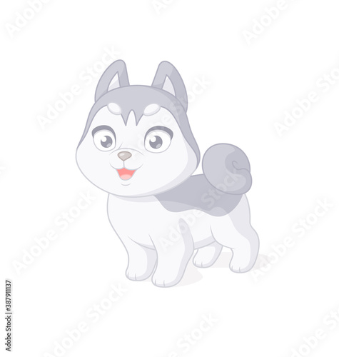 Cute husky puppy cartoon character. Vector illustration on white background.