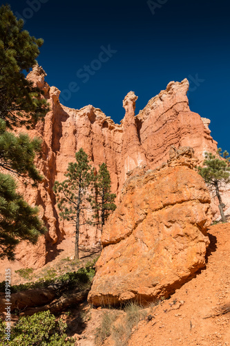 Hoodoos on The Queens Garden Trail, Bryce Canyon National Park, Utah, USA