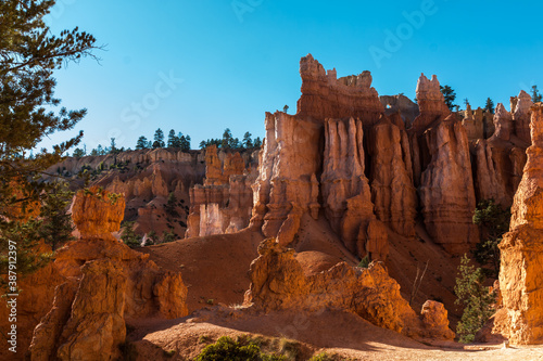 Hoodoos on The Queens Garden Trail, Bryce Canyon National Park, Utah, USA