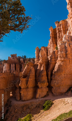 Tunnel Through Hoodoos on The Queens Garden Trail, Bryce Canyon National Park, Utah, USA