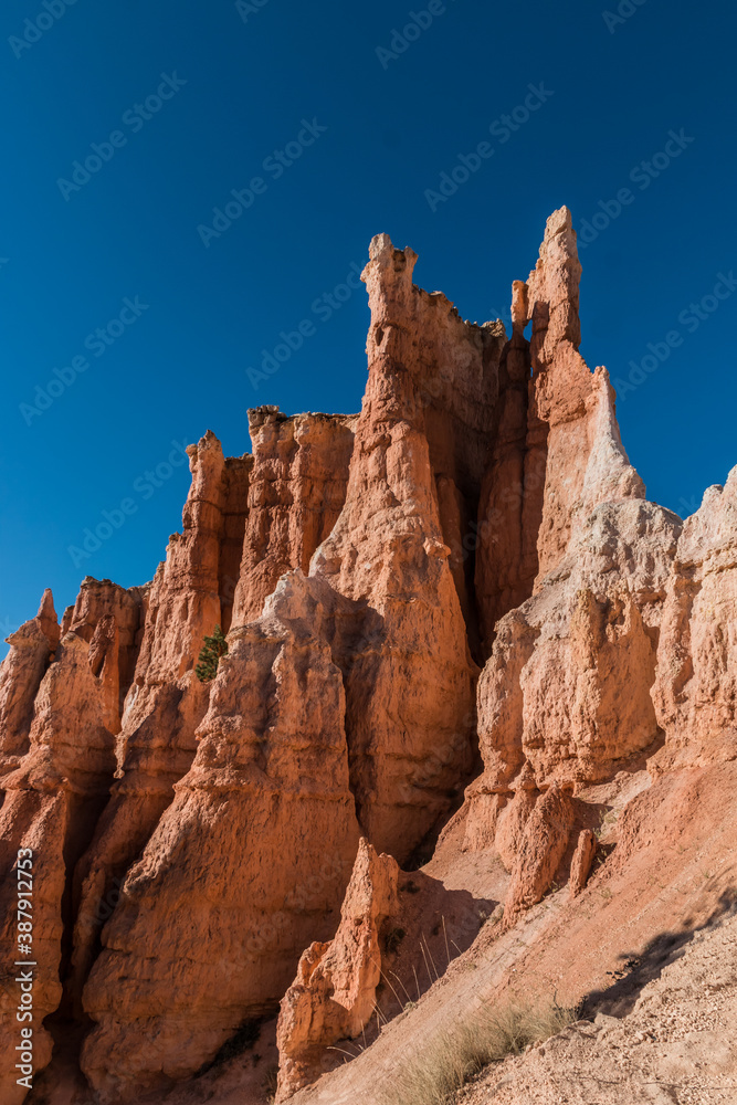 Hoodoos on The Queens Garden Trail, Bryce Canyon National Park ,Utah, USA Hoodoos on The Queens Garden Trail, Bryce Canyon National Park ,Utah, USA
