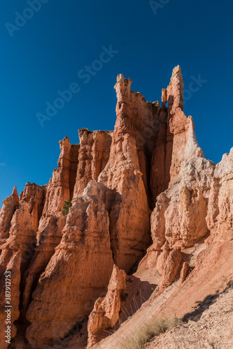 Hoodoos on The Queens Garden Trail, Bryce Canyon National Park ,Utah, USA