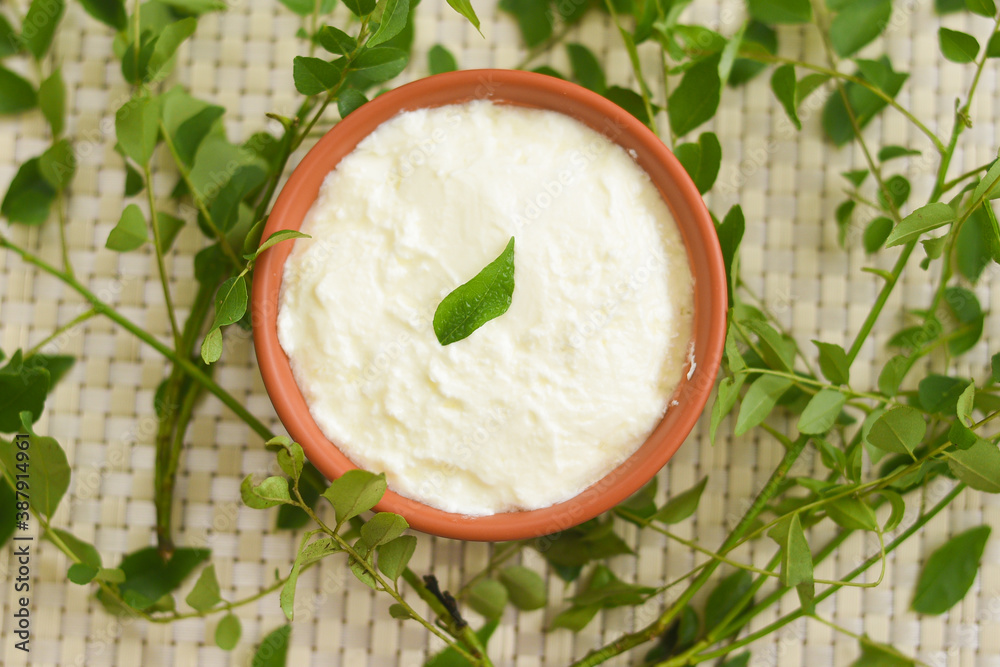 Bowl of homemade sour cream curd yogurt Dahi fresh herbs curry leaf Kerala, India. Dairy product