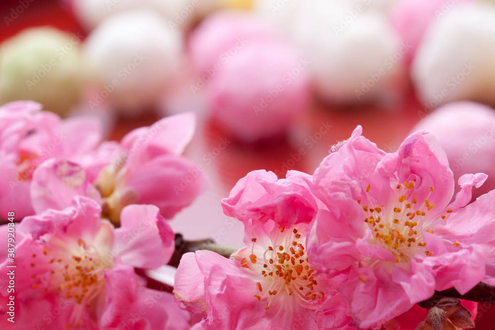 桃の花と雛あられ 桃の花と雛あられ