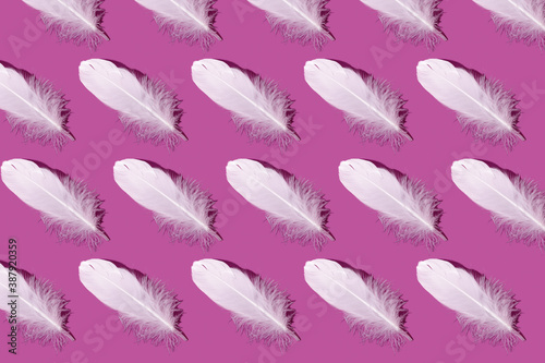 Abstract pattern. Repetition of white feather on bright pink background. Textured background of bird feathers lying in a row. Abstract geometric pink background. Art photo concept. © Nataliia