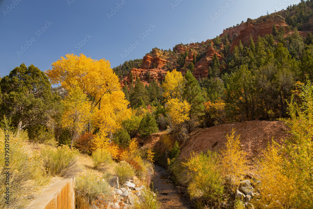 Fototapeta premium Sunny view of beautiful fall color around Parowan Canyon