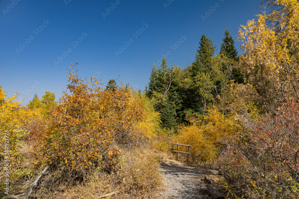 Sunny view of beautiful fall color around Parowan Canyon