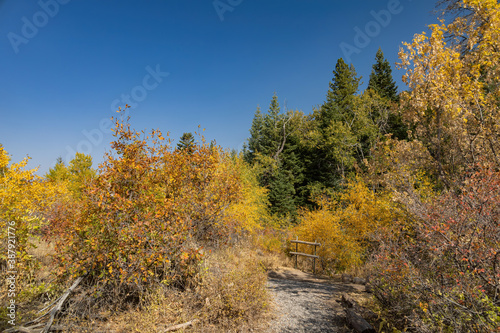 Sunny view of beautiful fall color around Parowan Canyon