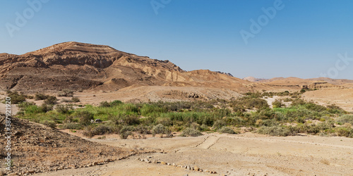 the lush year around ein saharonim spring in the makhtesh ramon crater in israel is in stark contrast with the surrounding harsh arid desert mountains