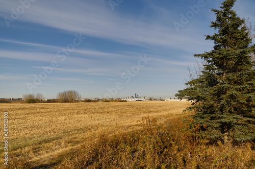 A Plowed Wheat Field in Autumn