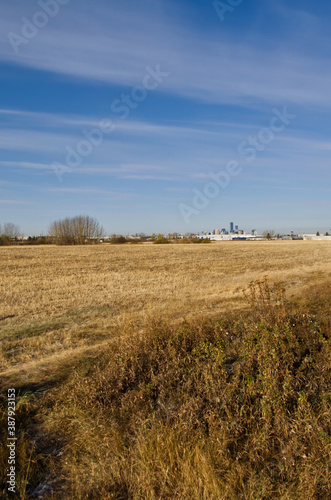 A Plowed Wheat Field in Autumn