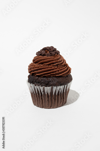 Chocolate Chip Cupcake with Chocolate Frosting with Chocolate Chips  on White