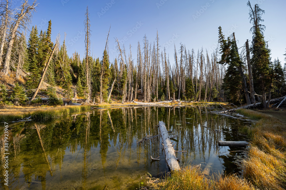 Obraz premium Afternoon sunny view of the Alpine Pond