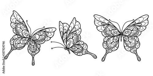Butterfly pattern. Hand drawn sketch illustration for adult coloring book