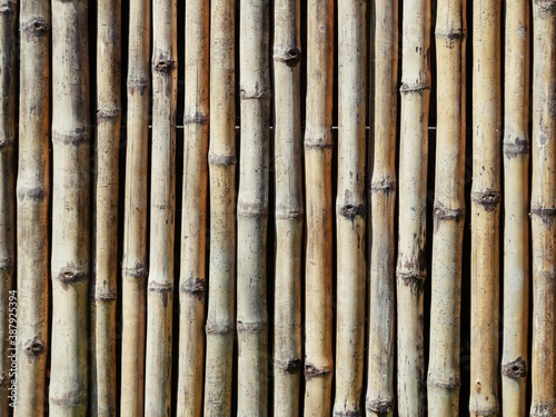 Fototapeta Naklejka Na Ścianę i Meble -  Bamboo fence