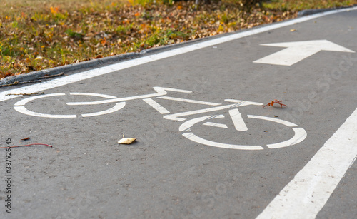 Wallpaper Mural Bicycle path sign in the Park on the asphalt. Autumn Torontodigital.ca