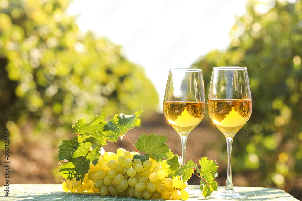 Glasses of wine and ripe grapes on table in vineyard