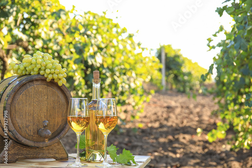 Canvas Print Barrel, bottle and glasses of wine on table in vineyard