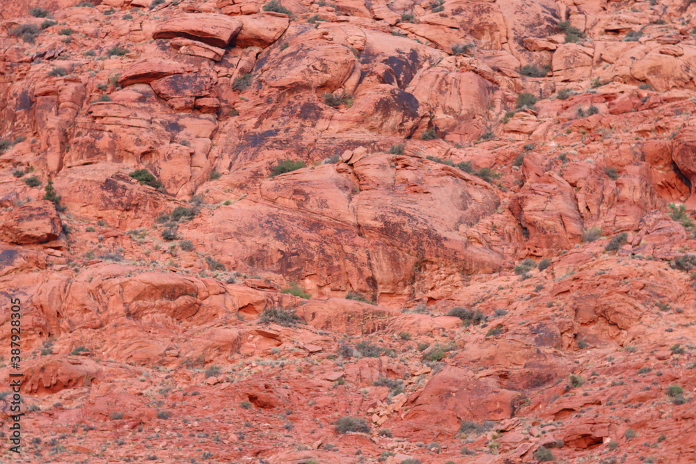 red rock canyon