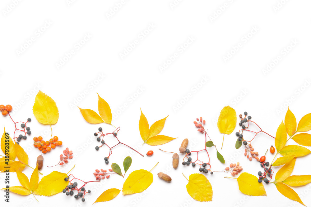 Beautiful autumn composition on white background Beautiful autumn composition on white background
