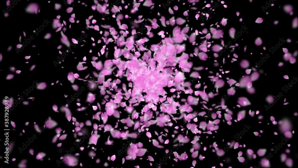 sakura cherry blossom particle animation sakura cherry blossom particle animation