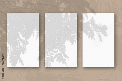 3 vertical sheets of textured white paper on brown table background. Mockup overlay with the plant shadows. Natural light casts shadows from a Rowan branch. Horizontal orientation