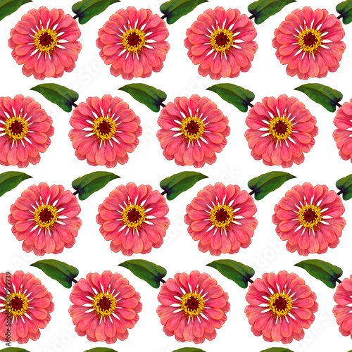 Seamless pattern with pink Zinnia flowers and green leaves on white background. Endless colorful floral texture. Raster illustration.