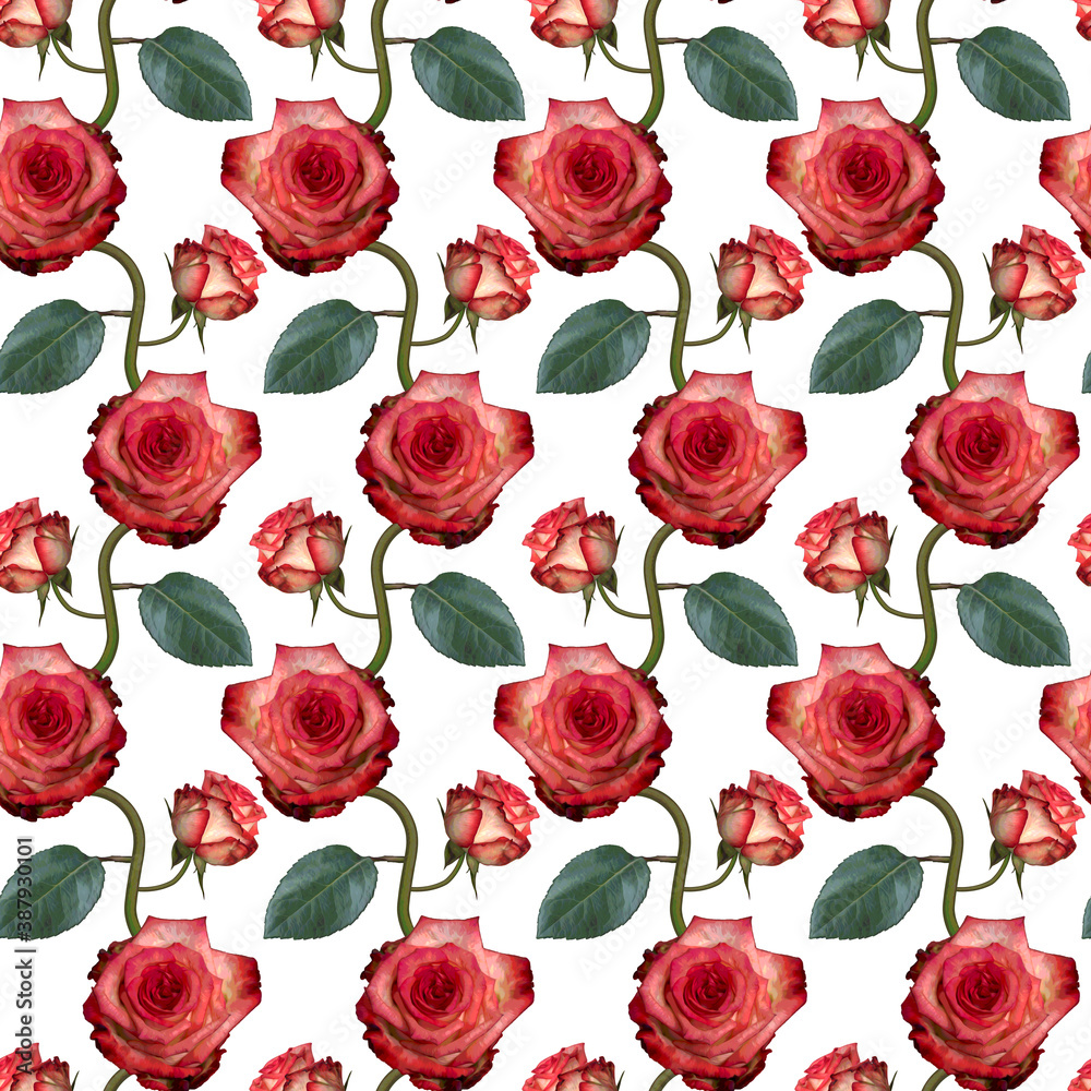 Seamless pattern with pink rose flowers and green leaves on white background. Endless colorful floral texture. Raster illustration. Seamless pattern with pink rose flowers and green leaves on white background. Endless colorful floral texture. Raster illustration.