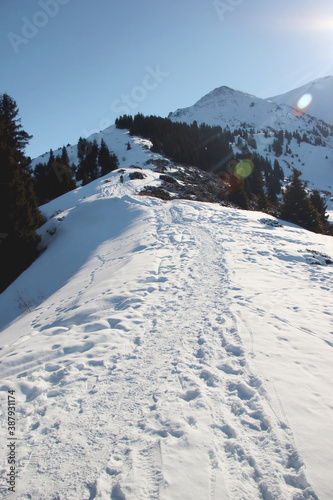 Winter trail on Furmanov peak in mountain ridge Alatau  Almaty  Kazakhstan  Kimasar gorge. Vertical.