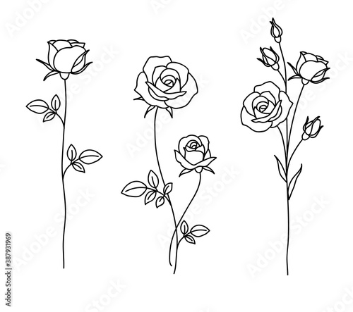 One line drawing. Garden rose with leaves. Hand drawn sketch. Set of flowers. Vector illustration.